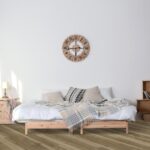 Desert Spotted Gum